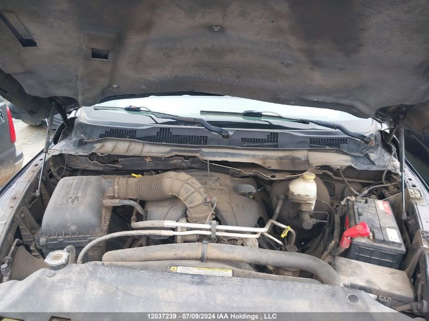 2010 Dodge Ram 1500 Slt/Sport/Trx VIN: 1D7RV1GT1AS253323 Lot: 12037239