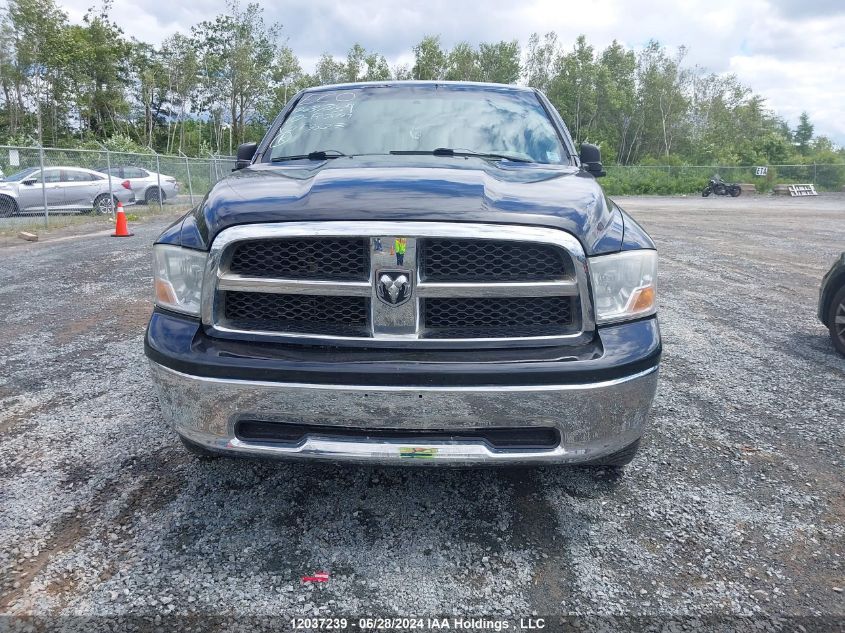 2010 Dodge Ram 1500 Slt/Sport/Trx VIN: 1D7RV1GT1AS253323 Lot: 12037239