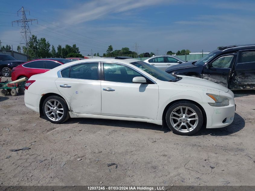 2009 Nissan Maxima 3.5 S VIN: 1N4AA51EX9C820788 Lot: 12037245