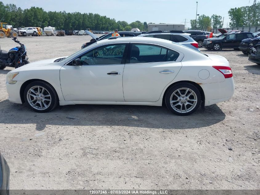 2009 Nissan Maxima 3.5 S VIN: 1N4AA51EX9C820788 Lot: 12037245