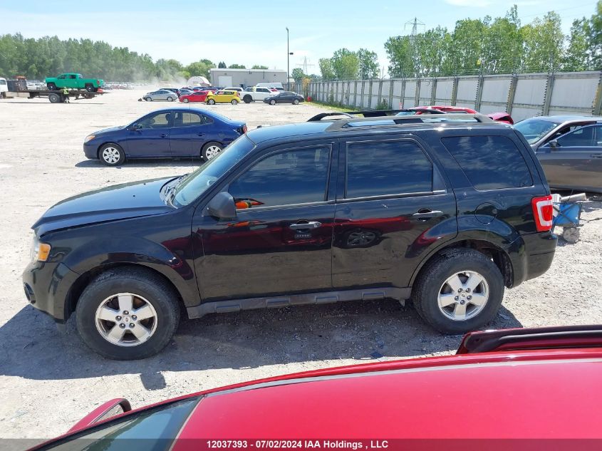 2011 Ford Escape Xlt VIN: 1FMCU0D70BKC07497 Lot: 12037393