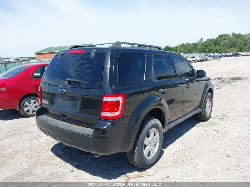 2011 Ford Escape Xlt VIN: 1FMCU0D70BKC07497 Lot: 12037393