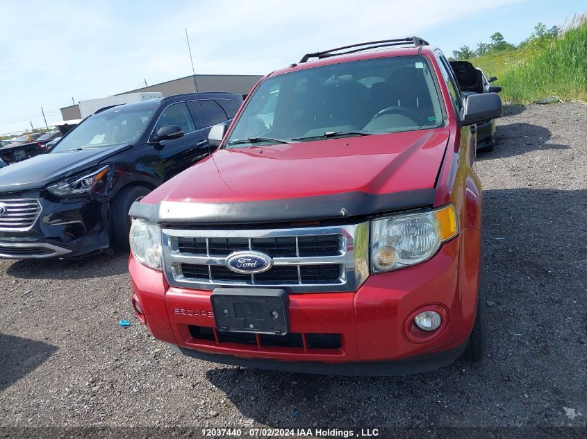 2010 Ford Escape VIN: 1FMCU0D71AKB06449 Lot: 12037440