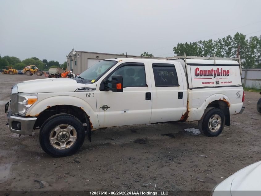 2012 Ford F250 Super Duty VIN: 1FT7W2BT7CEA35660 Lot: 12037618