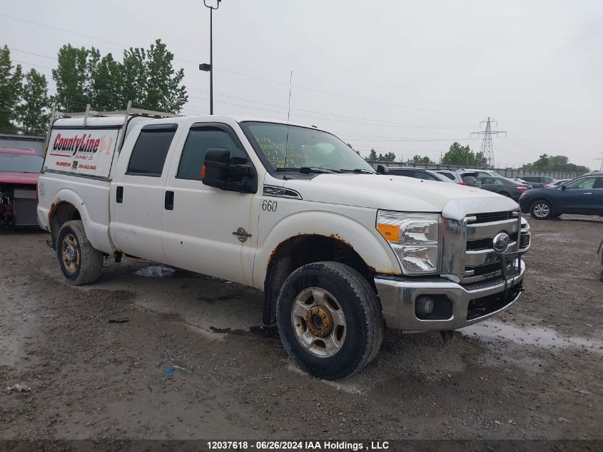 2012 Ford F250 Super Duty VIN: 1FT7W2BT7CEA35660 Lot: 12037618