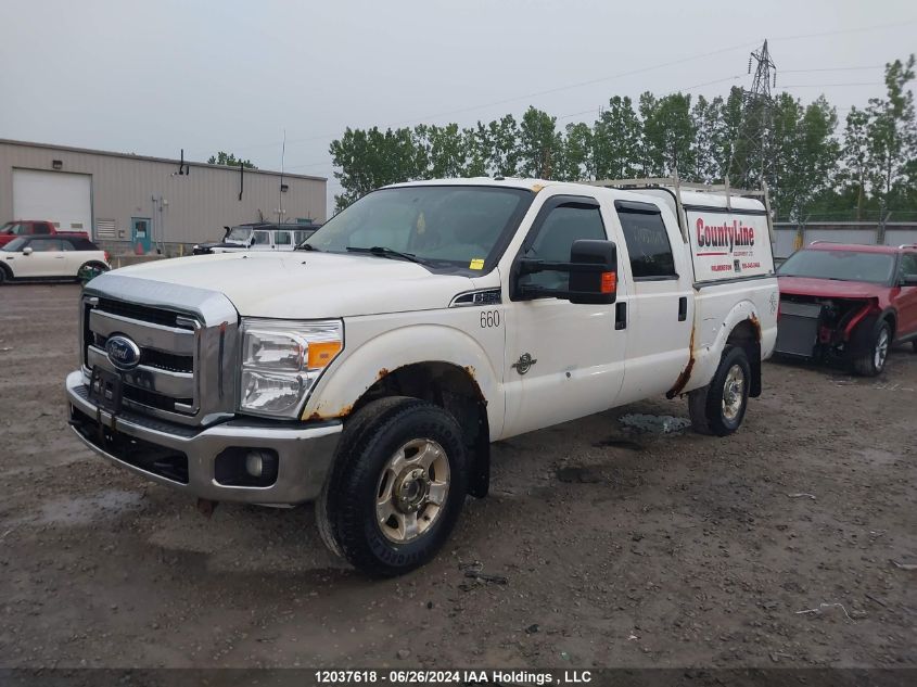 2012 Ford F250 Super Duty VIN: 1FT7W2BT7CEA35660 Lot: 12037618