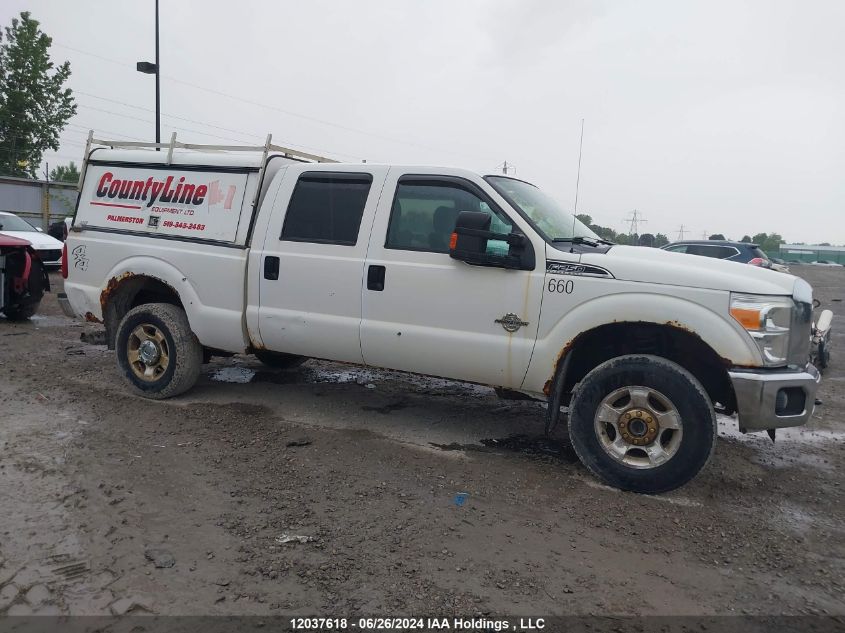 2012 Ford F250 Super Duty VIN: 1FT7W2BT7CEA35660 Lot: 12037618