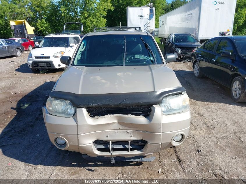 2007 Ford Escape Limited VIN: 1FMYU94187KA22661 Lot: 12037635