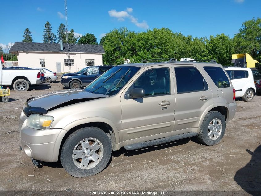 2007 Ford Escape Limited VIN: 1FMYU94187KA22661 Lot: 12037635