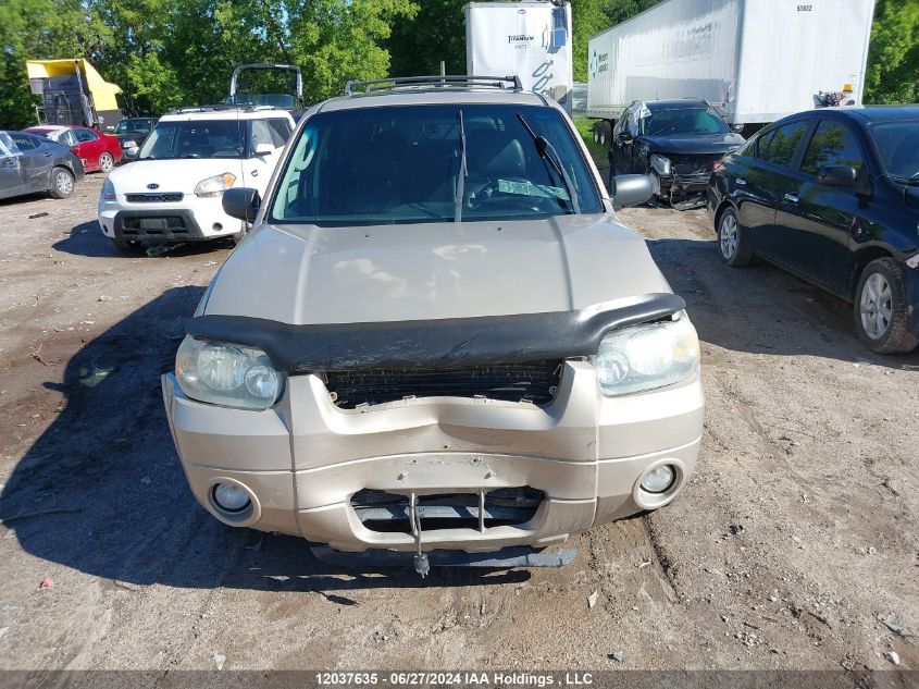 2007 Ford Escape Limited VIN: 1FMYU94187KA22661 Lot: 12037635