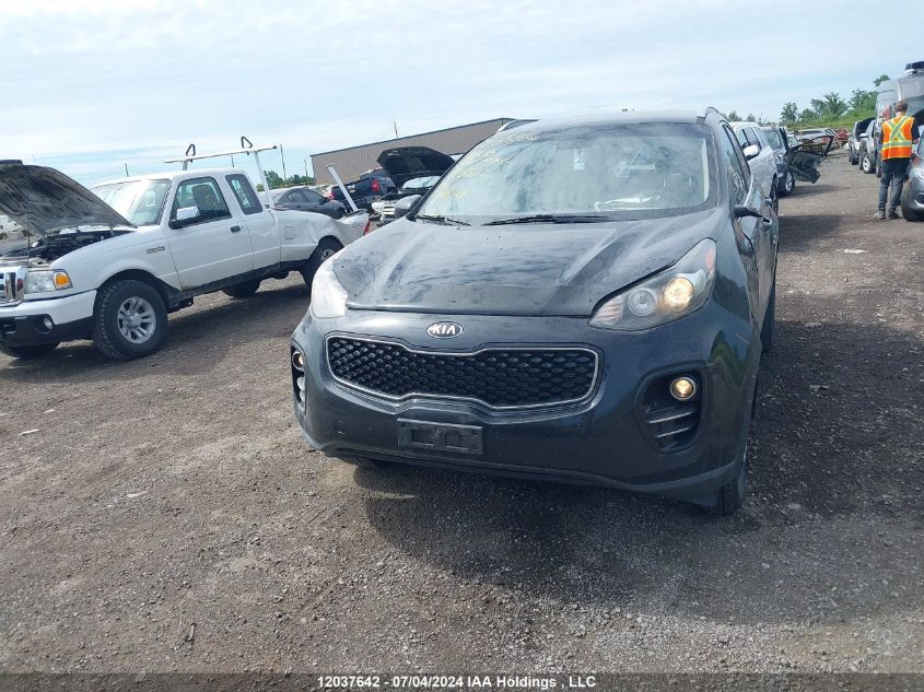 2017 Kia Sportage VIN: KNDPMCAC9H7196312 Lot: 12037642