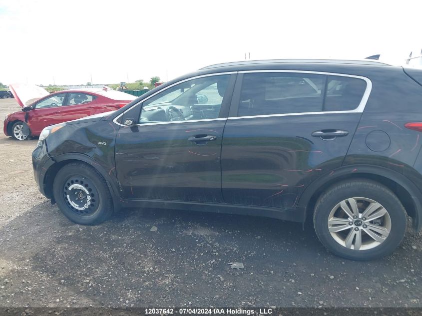2017 Kia Sportage VIN: KNDPMCAC9H7196312 Lot: 12037642