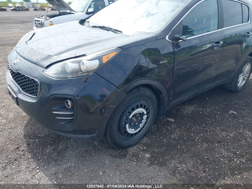 2017 Kia Sportage VIN: KNDPMCAC9H7196312 Lot: 12037642