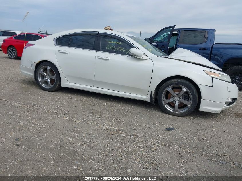 2009 Acura Tl VIN: 19UUA96539A801018 Lot: 12037778