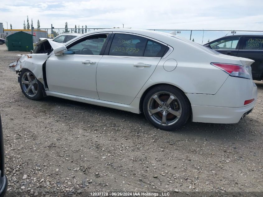 2009 Acura Tl VIN: 19UUA96539A801018 Lot: 12037778