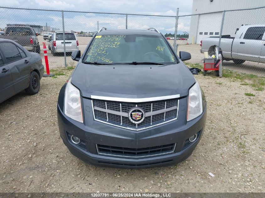 2010 Cadillac Srx Performance Collection VIN: 3GYFNEEY1AS520039 Lot: 12037791