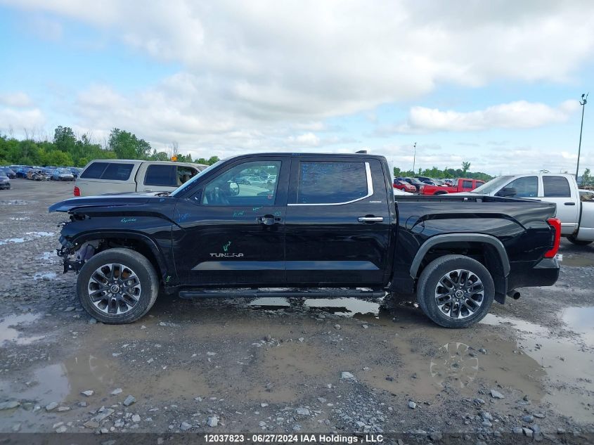 2022 Toyota Tundra Limited VIN: 5TFJA5DB8NX031537 Lot: 12037823