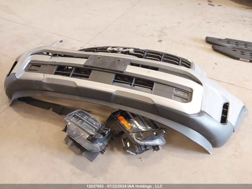 2023 Kia Telluride VIN: 5XYP5DGC9PG361030 Lot: 12037853