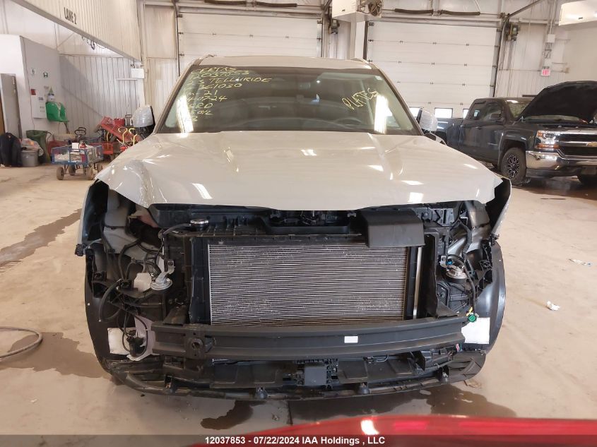 2023 Kia Telluride VIN: 5XYP5DGC9PG361030 Lot: 12037853