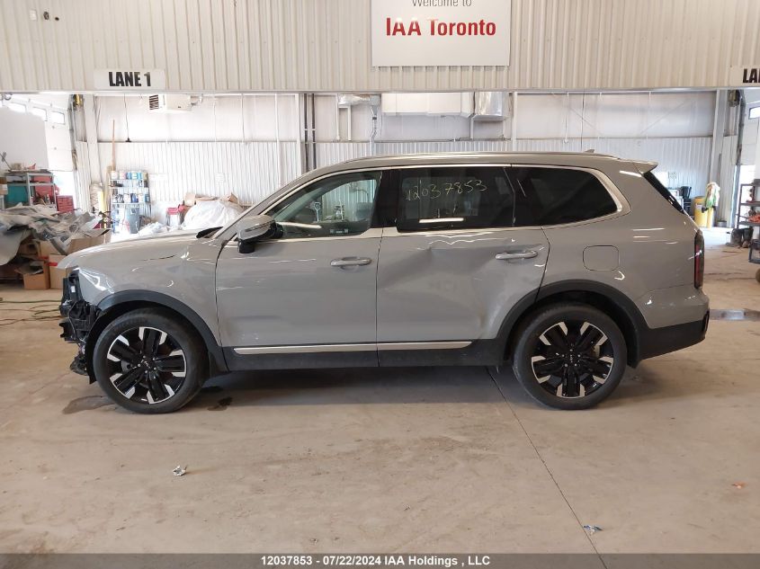 2023 Kia Telluride VIN: 5XYP5DGC9PG361030 Lot: 12037853
