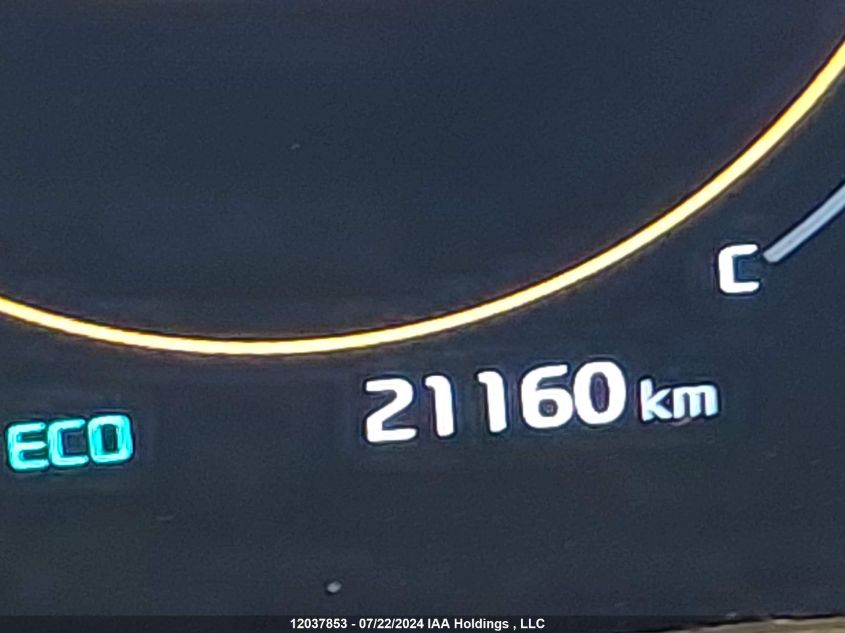 2023 Kia Telluride VIN: 5XYP5DGC9PG361030 Lot: 12037853