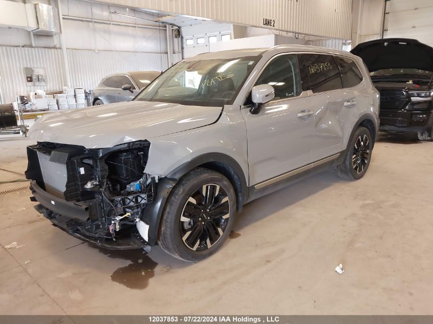 2023 Kia Telluride VIN: 5XYP5DGC9PG361030 Lot: 12037853