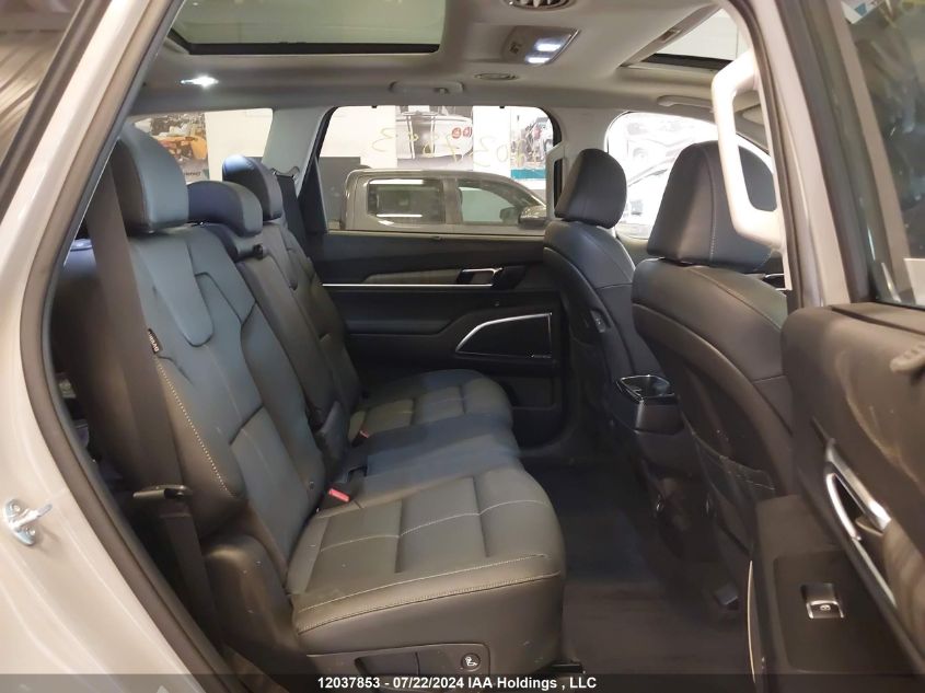 2023 Kia Telluride VIN: 5XYP5DGC9PG361030 Lot: 12037853