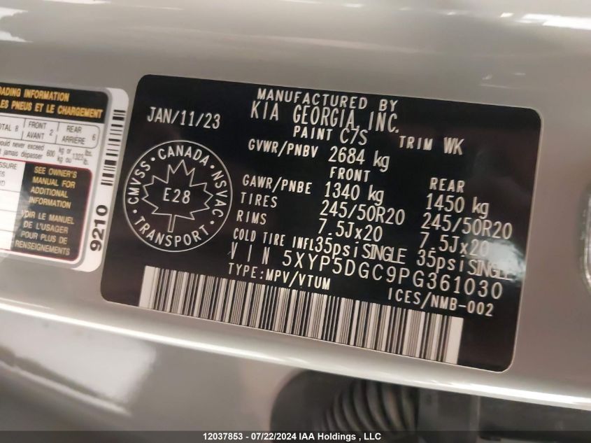 2023 Kia Telluride VIN: 5XYP5DGC9PG361030 Lot: 12037853