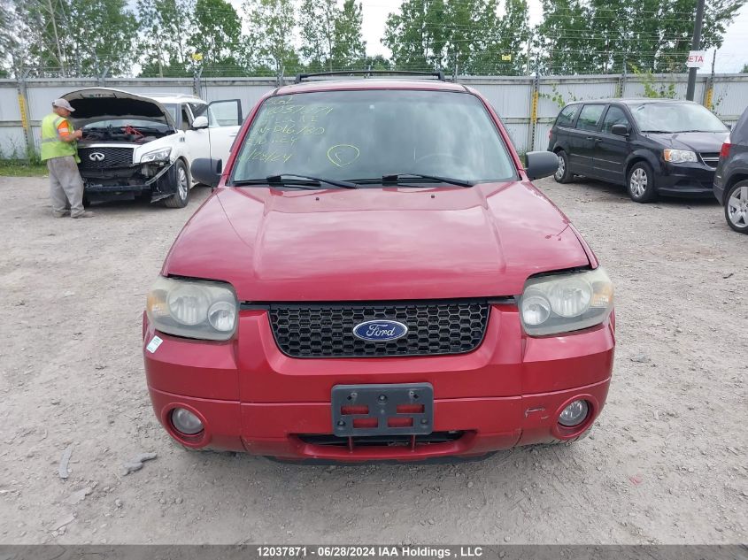 2006 Ford Escape VIN: 1FMCU94166KD16780 Lot: 12037871