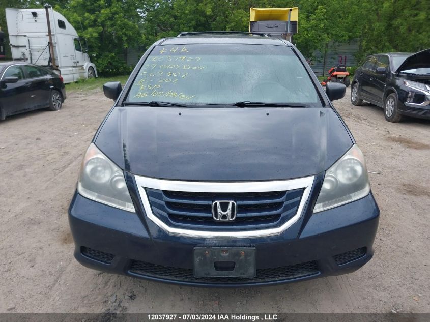 2009 Honda Odyssey VIN: 5FNRL38269B502502 Lot: 12037927