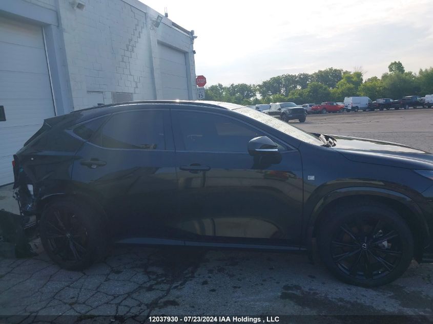 2022 Lexus Nx 350 VIN: JTJKGCEZ5N5002542 Lot: 12037930