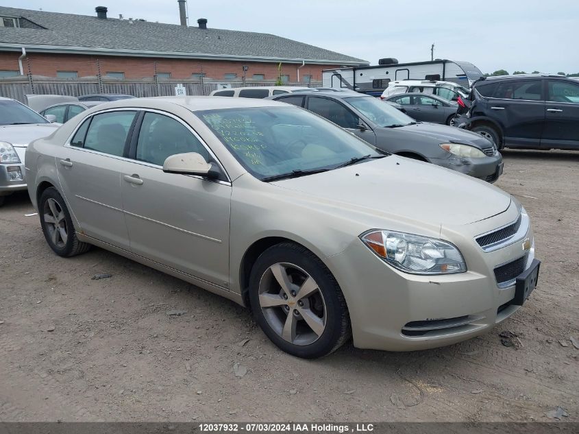 2009 Chevrolet Malibu Lt VIN: 1G1ZJ57B89F220238 Lot: 12037932