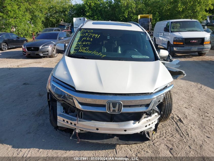 2019 Honda Pilot VIN: 5FNYF6H77KB506645 Lot: 12037991