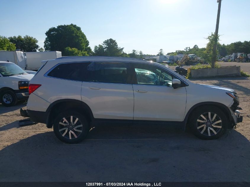 2019 Honda Pilot VIN: 5FNYF6H77KB506645 Lot: 12037991