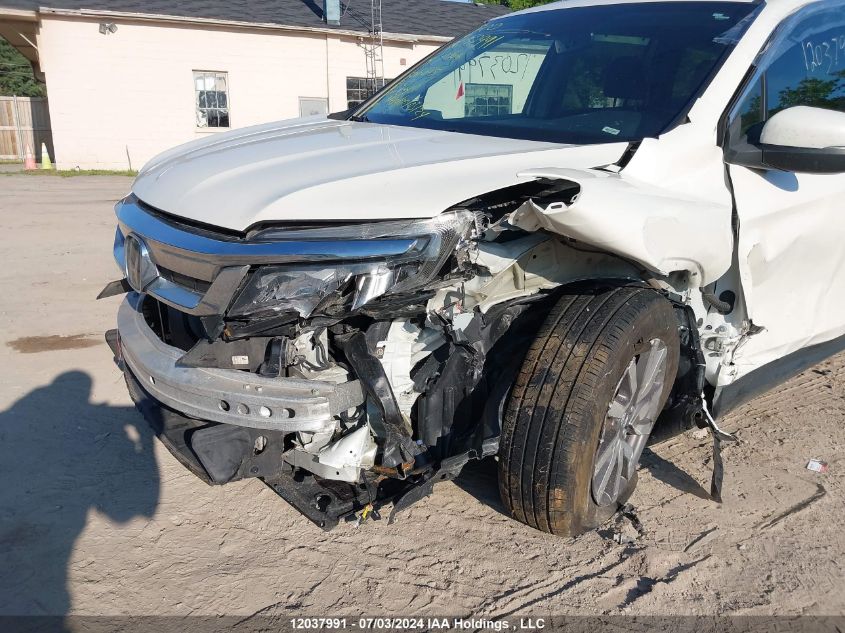 2019 Honda Pilot VIN: 5FNYF6H77KB506645 Lot: 12037991