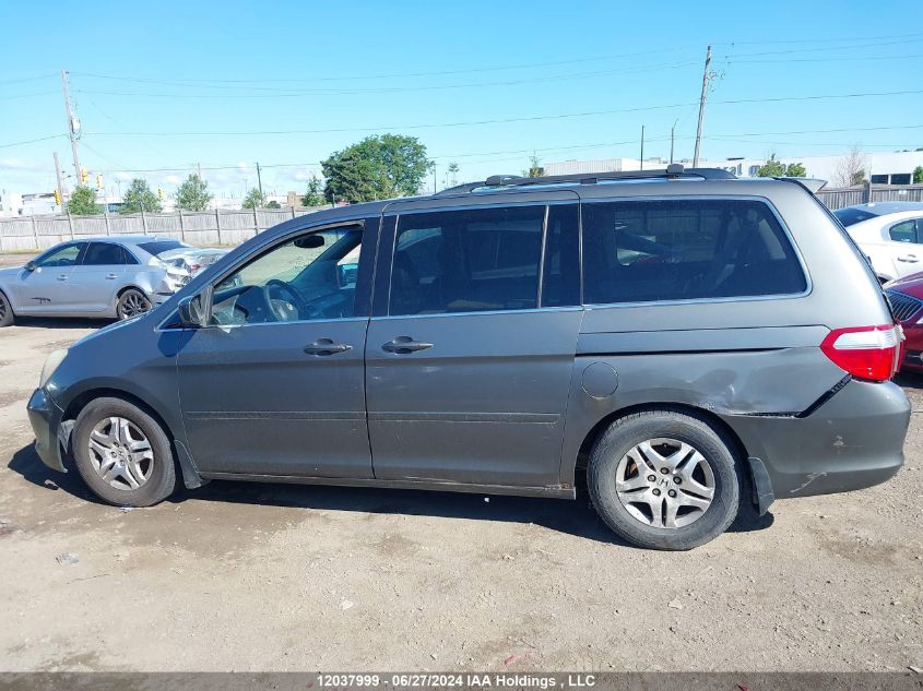 2007 Honda Odyssey VIN: 5FNRL38807B505235 Lot: 12037999