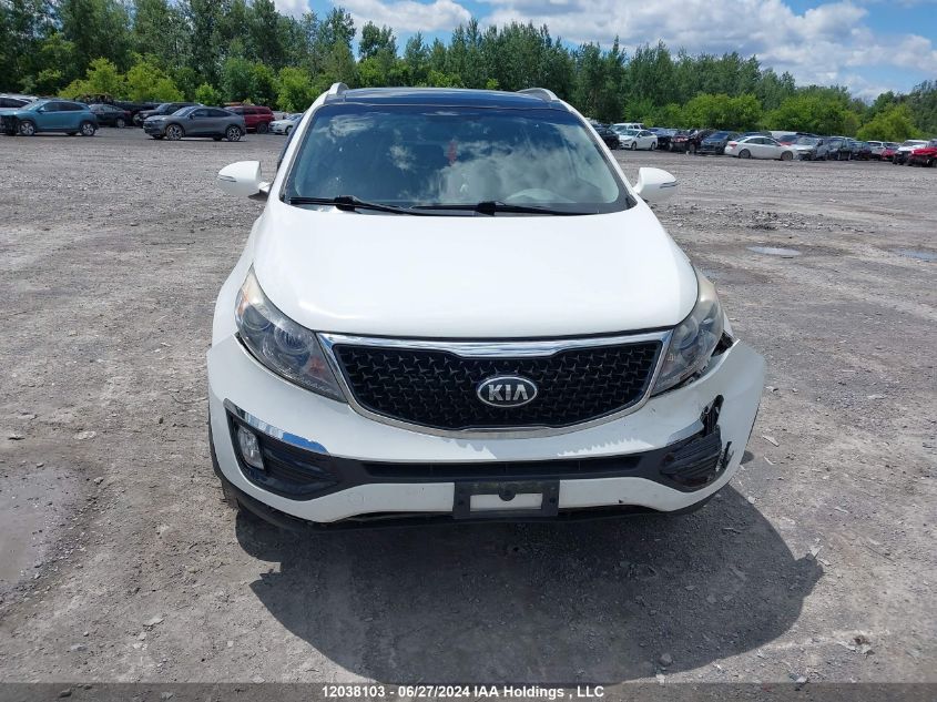 2016 Kia Sportage VIN: KNDPCCAC0G7806955 Lot: 12038103