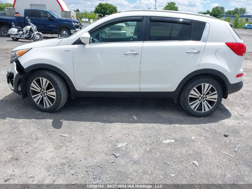 2016 Kia Sportage VIN: KNDPCCAC0G7806955 Lot: 12038103