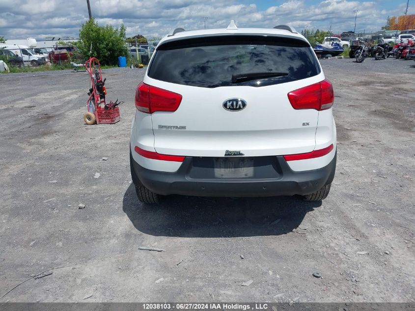 2016 Kia Sportage VIN: KNDPCCAC0G7806955 Lot: 12038103