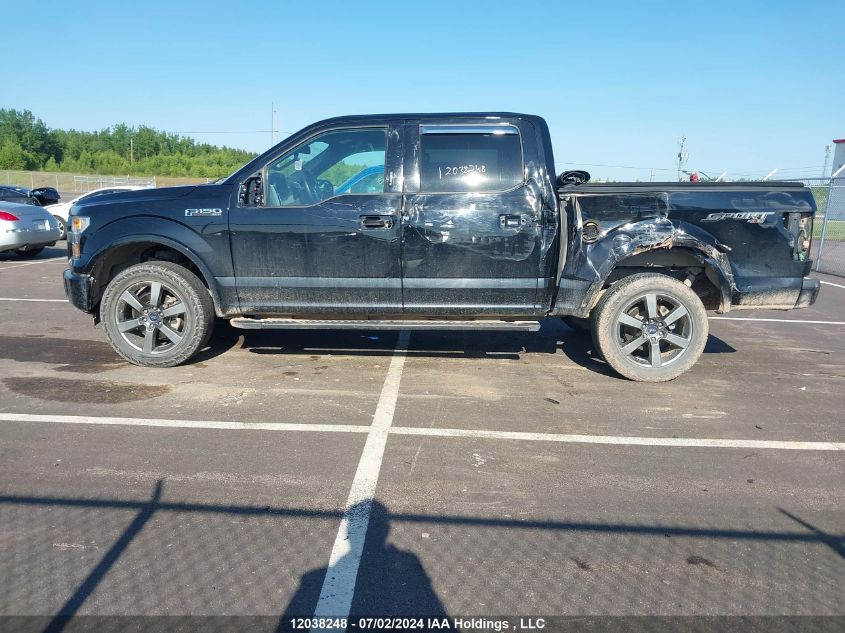 2016 Ford F-150 Xlt VIN: 1FTEW1EF3GFC61928 Lot: 12038248