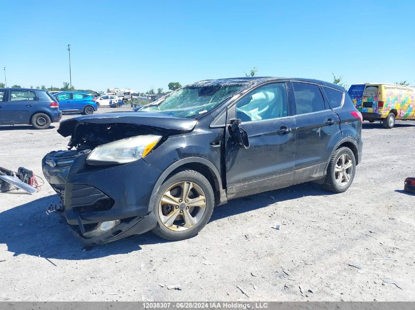 2014 Ford Escape VIN: 1FMCU9GX4EUB66638 Lot: 12038307