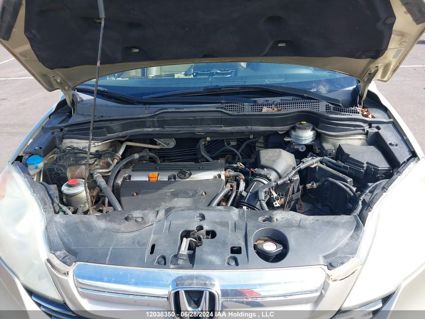 2008 Honda Cr-V Exl VIN: 5J6RE48728L803141 Lot: 12038350