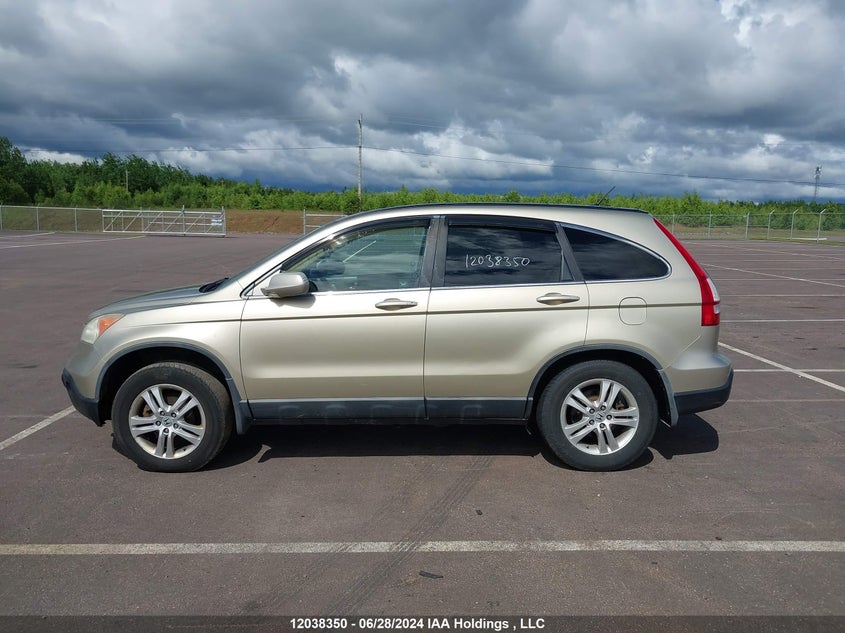 2008 Honda Cr-V Exl VIN: 5J6RE48728L803141 Lot: 12038350