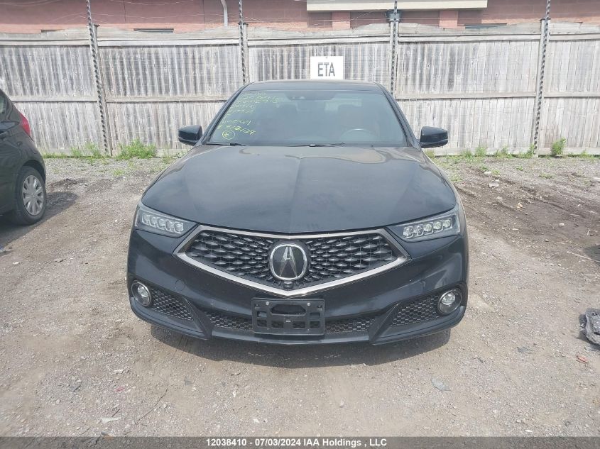 2020 Acura Tlx VIN: 19UUB3F8XLA800590 Lot: 12038410