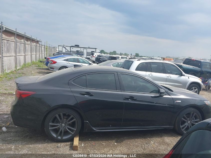 2020 Acura Tlx VIN: 19UUB3F8XLA800590 Lot: 12038410