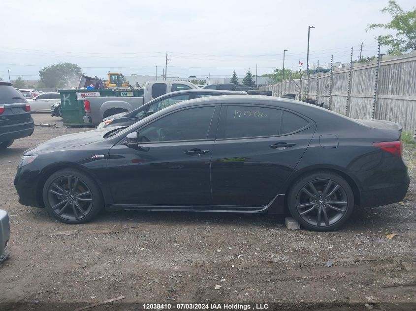 2020 Acura Tlx VIN: 19UUB3F8XLA800590 Lot: 12038410
