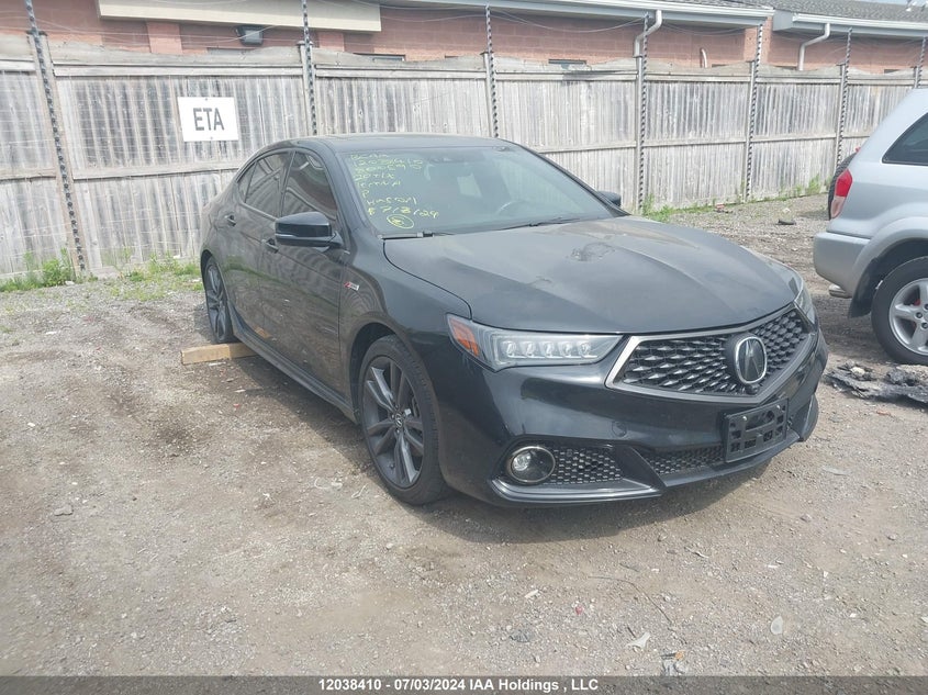 2020 Acura Tlx VIN: 19UUB3F8XLA800590 Lot: 12038410