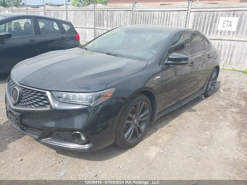 2020 Acura Tlx VIN: 19UUB3F8XLA800590 Lot: 12038410