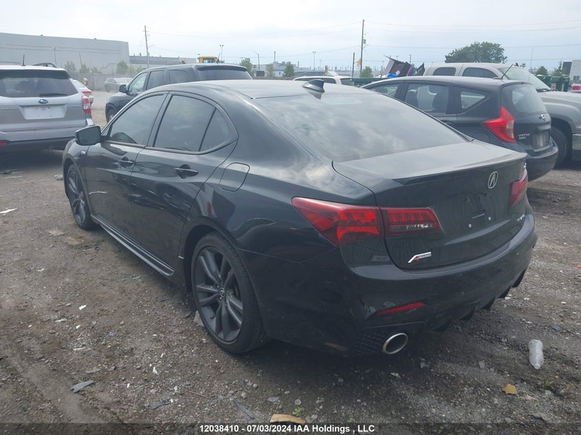 2020 Acura Tlx VIN: 19UUB3F8XLA800590 Lot: 12038410
