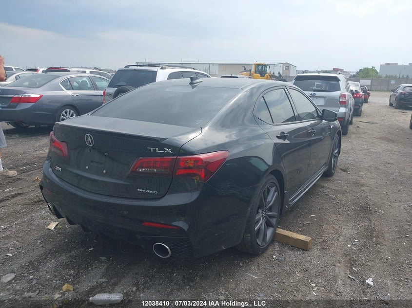 2020 Acura Tlx VIN: 19UUB3F8XLA800590 Lot: 12038410